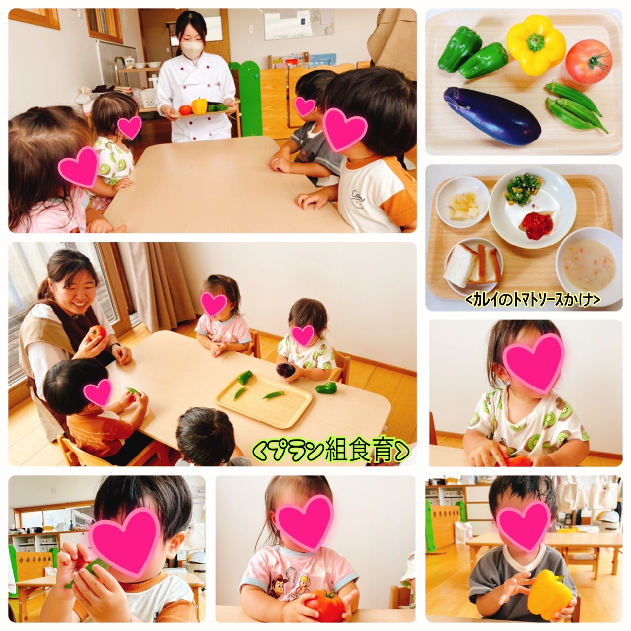 🫑夏野菜の食育🍅